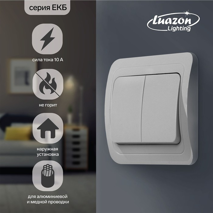 Выключатель Luazon Lighting "МСК", 10 А, 2 клавиши, белый