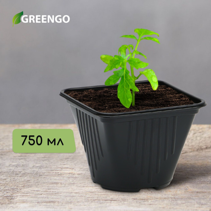 Горшок для рассады, 750 мл, d = 8,5 см, h = 12 см, чёрный, Greengo