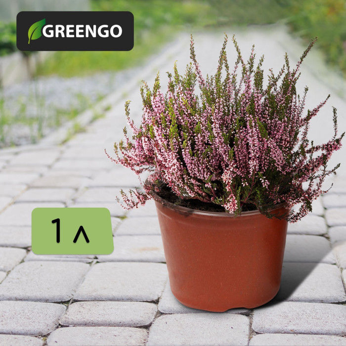 Горшок для рассады, 1.1 л, d=14 см, h=12 см, мягкий пластик, терракот, Greengo